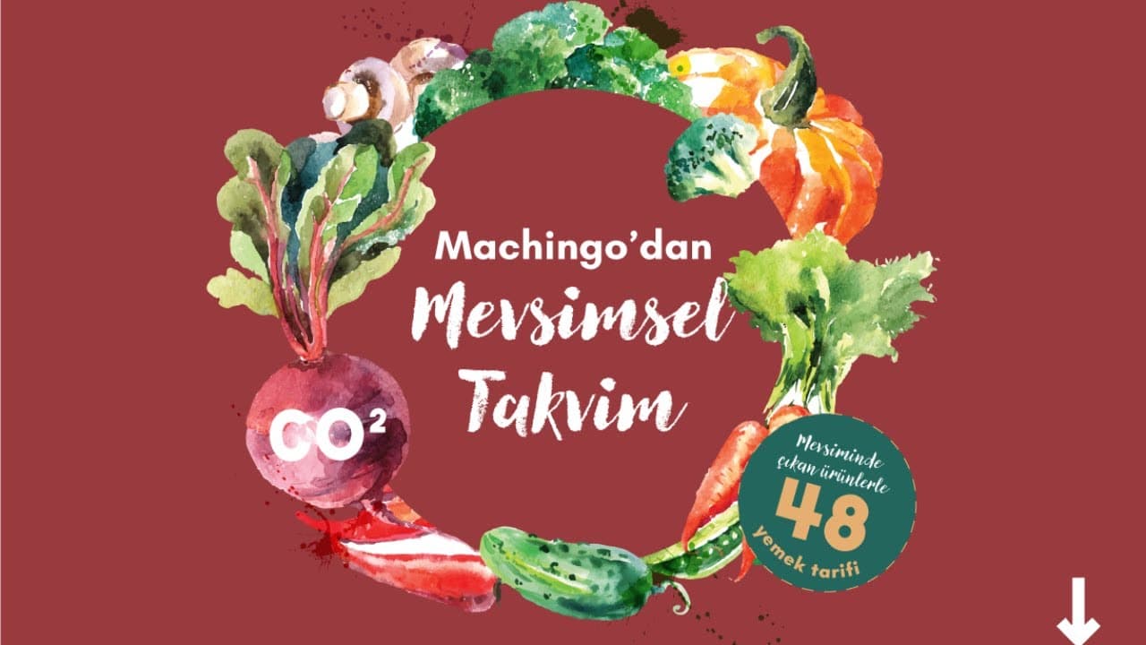 Machingo Mevsimsel Takvim ile Karbon Ayak İzinizi Azaltın