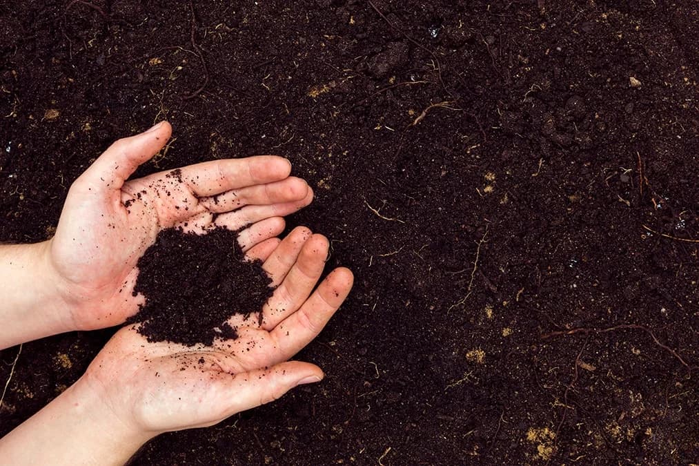 Ecogreen Enerji’den Biyogazla Organik Gübre Üretimi