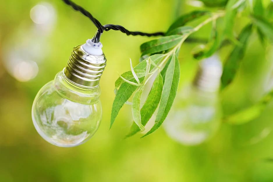Enerjide Bağımsızlığın Formülü Yeşil Hidrojen’de