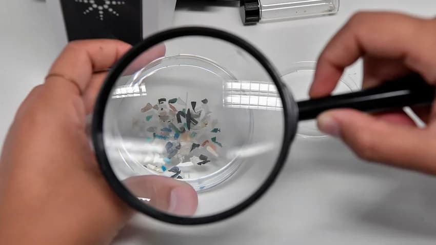 İspanya’daki Plastik Granül Dökülmesi, AB Parlamentosu’nu Harekete Geçirdi