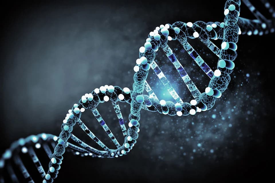 L’Oréal Türkiye’den Antik DNA Araştırmalarına Destek