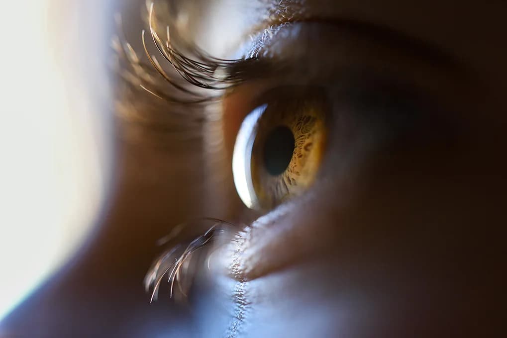 İnsan Retinasını Taklit Eden Biyoçip
