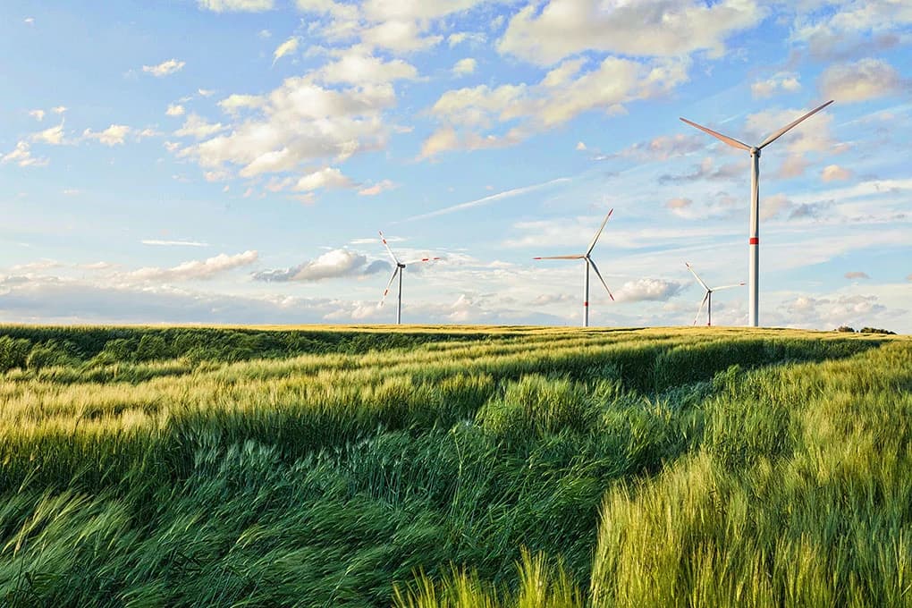Yenilenebilir Enerjiden Rekor Sıçrama