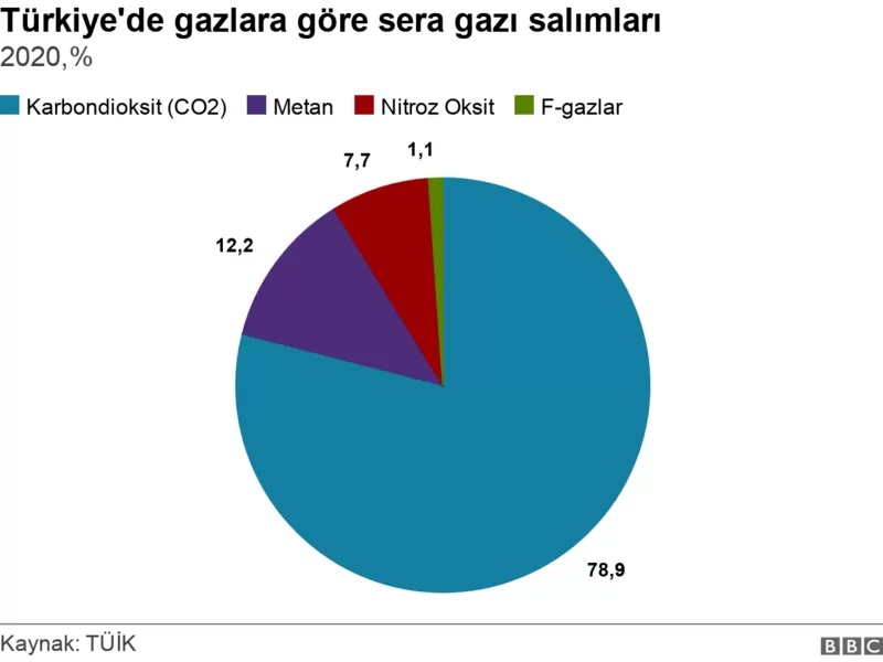 Yesilodakturkiyeninkarbonsalimi1 Machingo