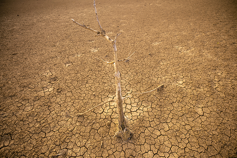 Drought in Tunisia - Machingo