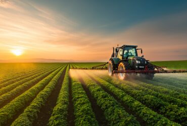 gdp-inovasyon-odulleri-tarimda-yenilikleri-odullendirdi-haberi - Machingo