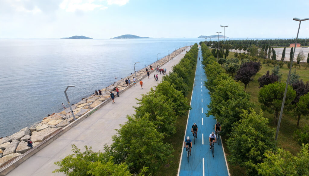 1765452829_yesil_copy - Machingo