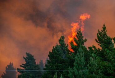 anadolu-sigorta-ormanin-gozleri-ile-odul-aldi-haberi - Machingo