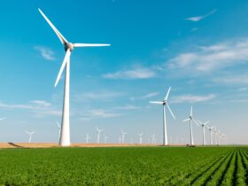 borusan-enbw-enerji-kurulu-gucunu-935-mwa-cikardi-haberi - Machingo