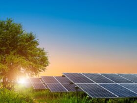 bupa-turkiyeden-hataya-gunes-enerjisi-destegi-haberi - Machingo