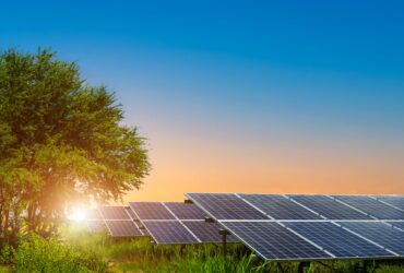 bupa-turkiyeden-hataya-gunes-enerjisi-destegi-haberi - Machingo