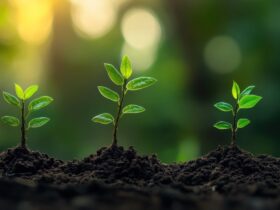 bupa-turkiyeden-muglaya-250-bin-fidanlik-umut-haberi - Machingo