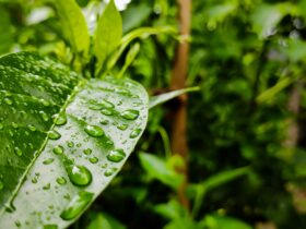 karmoddan-yagmur-suyu-hasadina-mevzuat-uyumlu-cozum-haberi - Machingo