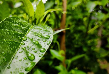 karmoddan-yagmur-suyu-hasadina-mevzuat-uyumlu-cozum-haberi - Machingo