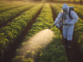 sok-marketlerden-pestisit-analizinde-yeni-donem-haberi - Machingo