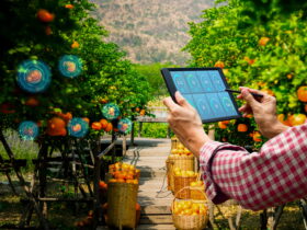 agriprix-ciftciler-ve-kurumsal-alicilar-icin-dijital-ticaret-platformu-haberi - Machingo