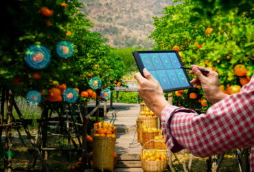 agriprix-ciftciler-ve-kurumsal-alicilar-icin-dijital-ticaret-platformu-haberi - Machingo