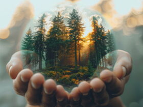 anadolu-sigorta-ormanin-gozleri-projesi-12-milyon-hektari-koruyacak-haberi - Machingo