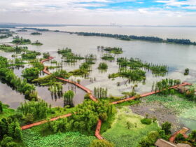 antalyadaki-sel-tarimda-drenajin-hayati-rolunu-gosterdi-haberi - Machingo