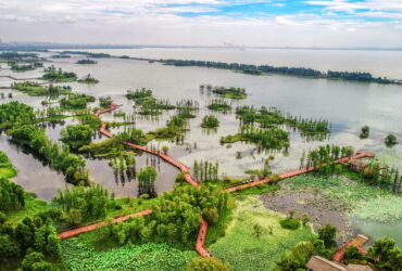 antalyadaki-sel-tarimda-drenajin-hayati-rolunu-gosterdi-haberi - Machingo