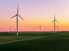 enerjisa-uretim-ruzgarda-1000-mwa-ulasan-ilk-sirket-oldu-haberi - Machingo