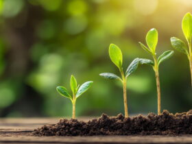 akfen-holdingten-sarkoyde-10-bin-fidan-ekildi-haberi - Machingo