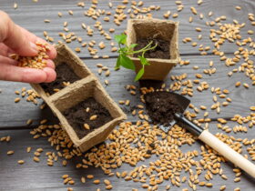 asastan-dogayi-yeserten-sende-bir-tohum-at-projesi-haberi - Machingo