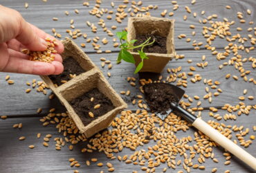 asastan-dogayi-yeserten-sende-bir-tohum-at-projesi-haberi - Machingo