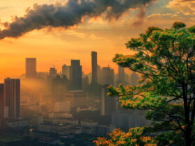 vodafone-turkiyenin-karbon-emisyonu-9477-azaldi-haberi - Machingo