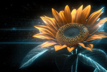Close-up of a glowing orange sunflower against a dark, tech-inspired background with blue light streaks.