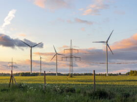 Wind turbines standing in a grassy field at sunset with power lines and pylons in the distance.