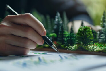 Close-up of a hand drawing on paper beside a miniature forest diorama on a desk.