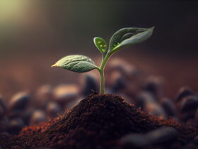 Close-up of a tiny green seedling pushing up through dark soil with a soft, blurred background and warm light.
