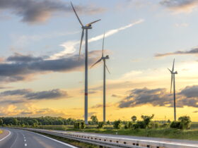 Wind turbines towering over a rural road at sunset, with a grassy field and trees in the distance.
