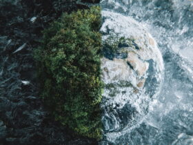 Rocky outcrop with dense green vegetation emerging from dark, swirling water and frosted rock edges on the right side.