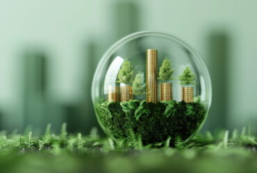 Glass globe containing a miniature forest and stacked gold coins, representing green finance and sustainable investment growth.