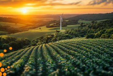 Sunset over rolling hills with a vineyard in the foreground and a wind turbine in the midground.