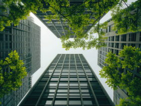 Upward view of modern glass office buildings surrounding a courtyard with green trees and bright sky above.