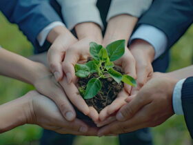 Several hands form a circle around a small seedling planted in soil, signaling teamwork and environmental care.