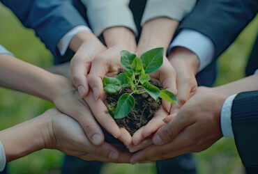 Several hands form a circle around a small seedling planted in soil, signaling teamwork and environmental care.