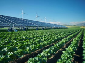 Rows of solar panels in a rural field with wind turbines visible on the horizon under a clear blue sky.